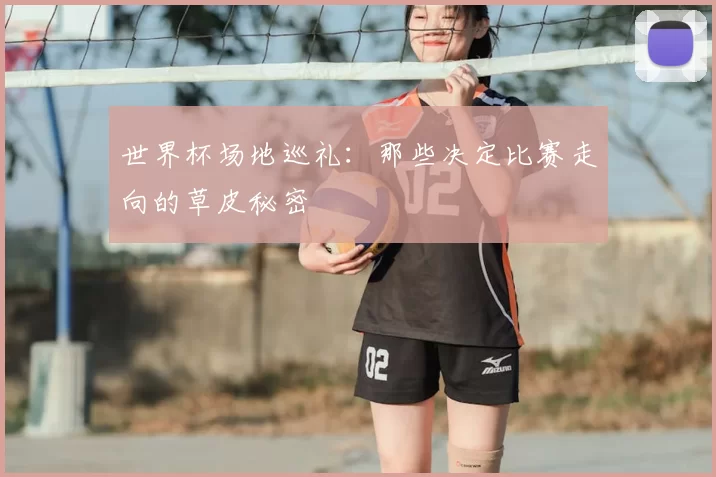 世界杯场地巡礼:那些决定比赛走向的草皮秘密