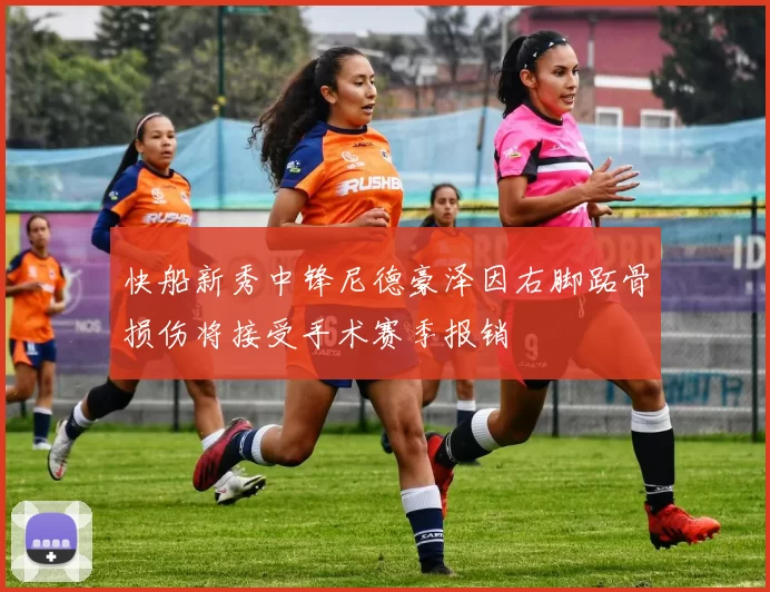 快船新秀中锋尼德豪泽因右脚跖骨损伤将接受手术赛季报销