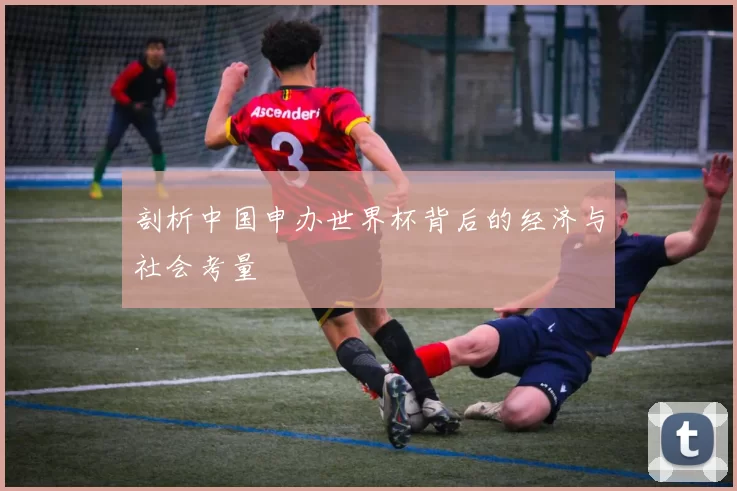 剖析中国申办世界杯背后的经济与社会考量