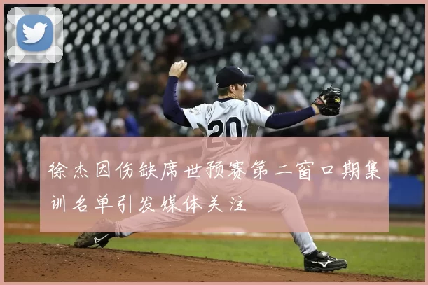 徐杰因伤缺席世预赛第二窗口期集训名单引发媒体关注