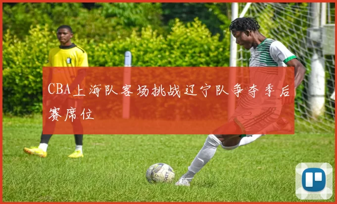 CBA上海队客场挑战辽宁队争夺季后赛席位