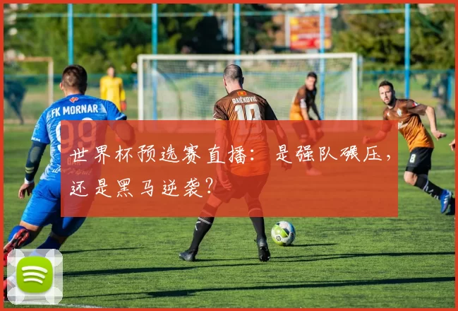 世界杯预选赛直播:是强队碾压,还是黑马逆袭?