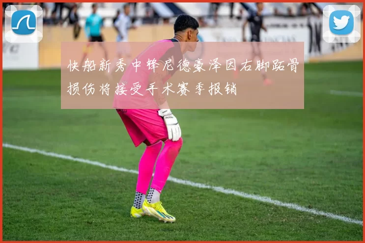 快船新秀中锋尼德豪泽因右脚跖骨损伤将接受手术赛季报销