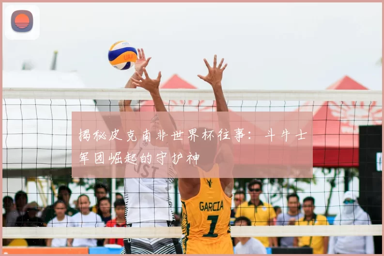 揭秘皮克南非世界杯往事：斗牛士军团崛起的守护神