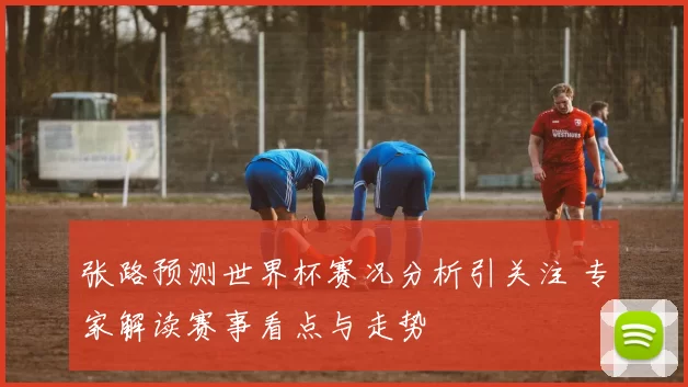 张路预测世界杯赛况分析引关注 专家解读赛事看点与走势
