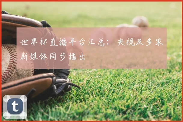 世界杯直播平台汇总:央视及多家新媒体同步播出