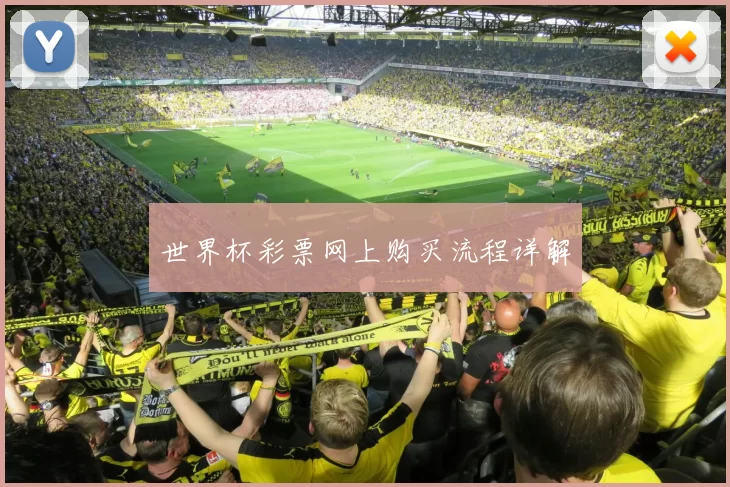 世界杯彩票网上购买流程详解