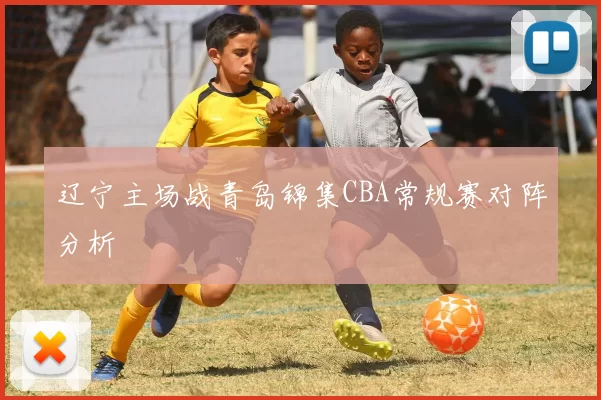 辽宁主场战青岛锦集CBA常规赛对阵分析