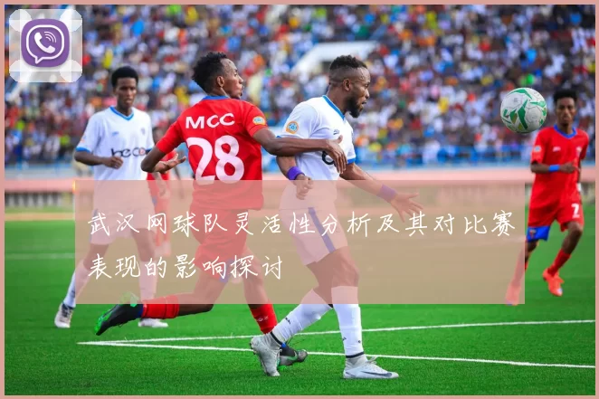 武汉网球队灵活性分析及其对比赛表现的影响探讨