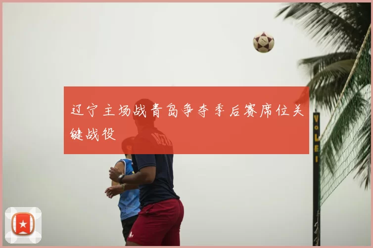 辽宁主场战青岛争夺季后赛席位关键战役