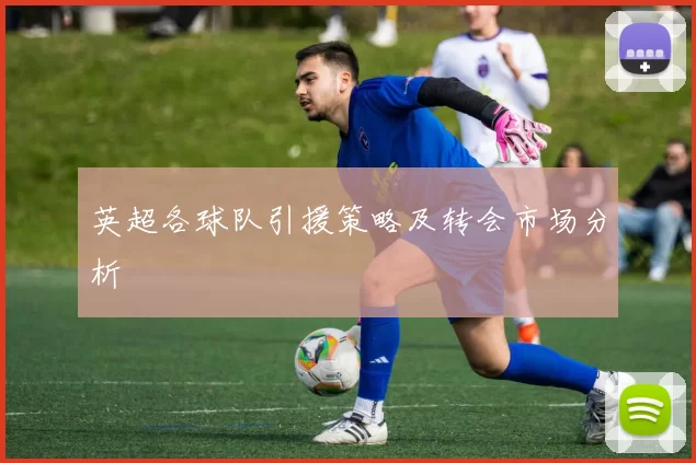 英超各球队引援策略及转会市场分析